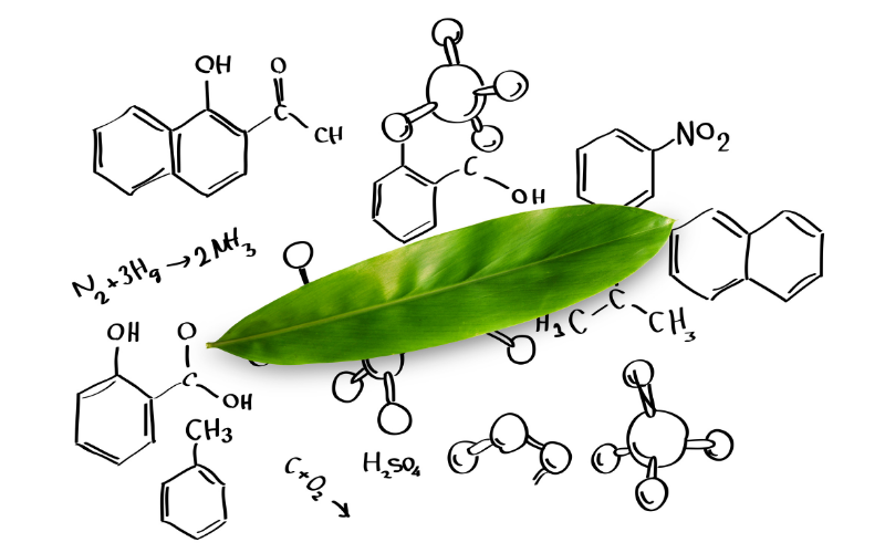 Chimie verte : quelles applications en cosmétique ?