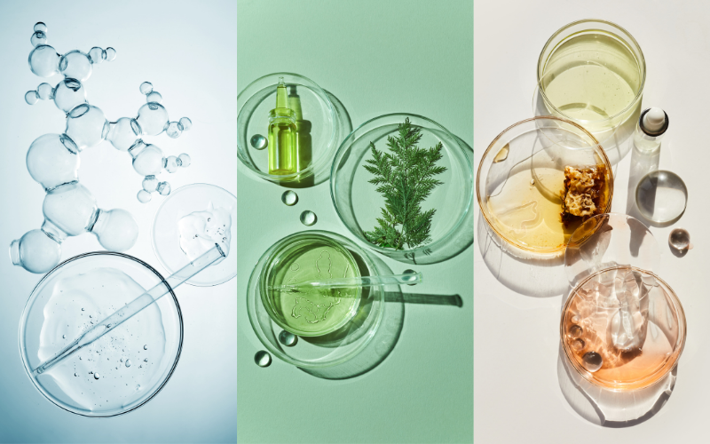 Tout savoir sur les cosmétiques bio et naturels